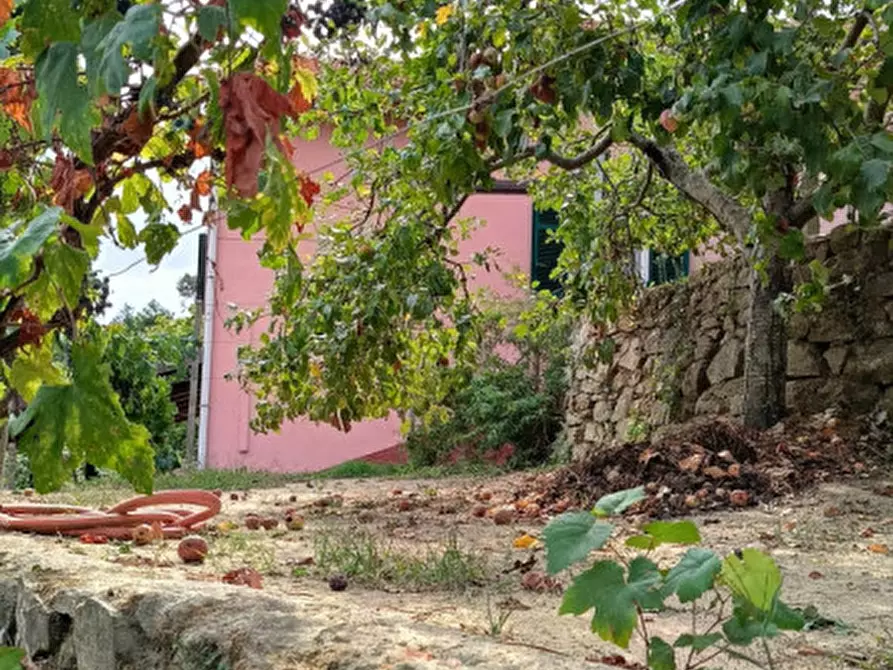 Immagine 17 di Casa indipendente in vendita  in Strada provinciali sud a Ceriana