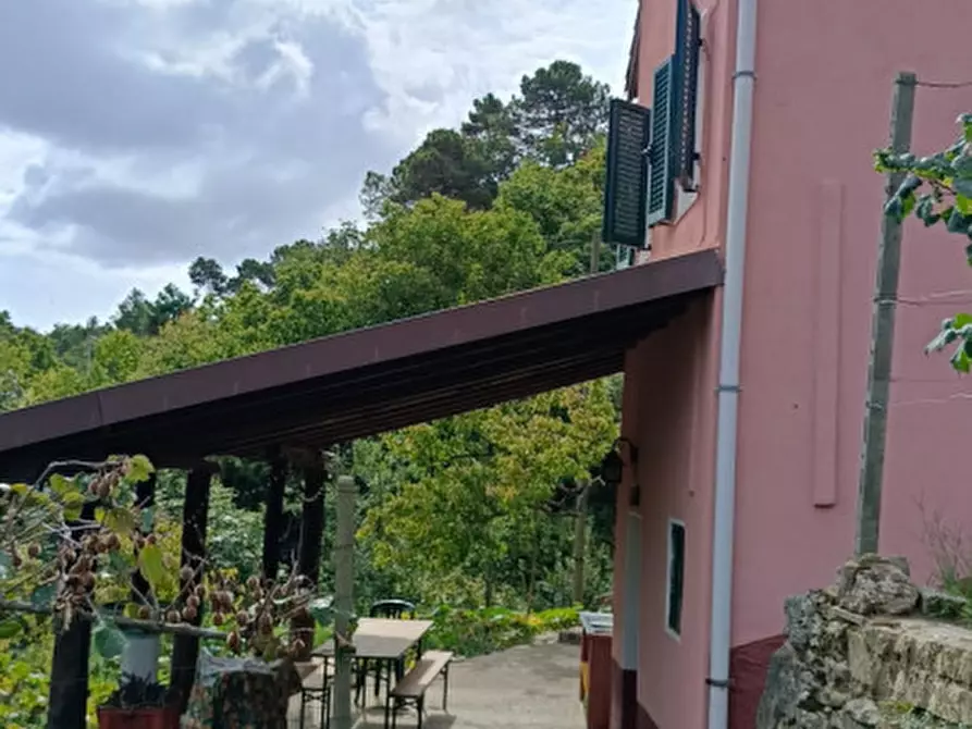 Immagine 18 di Casa indipendente in vendita  in Strada provinciali sud a Ceriana