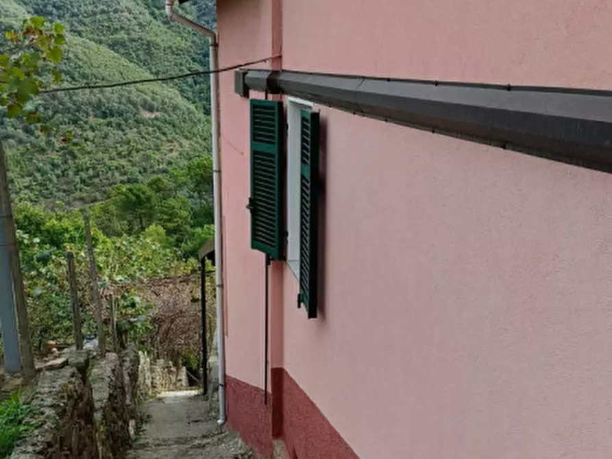 Immagine 20 di Casa indipendente in vendita  in Strada provinciali sud a Ceriana