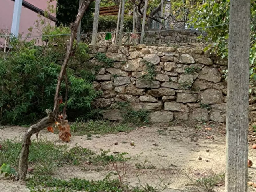 Immagine 27 di Casa indipendente in vendita  in Strada provinciali sud a Ceriana