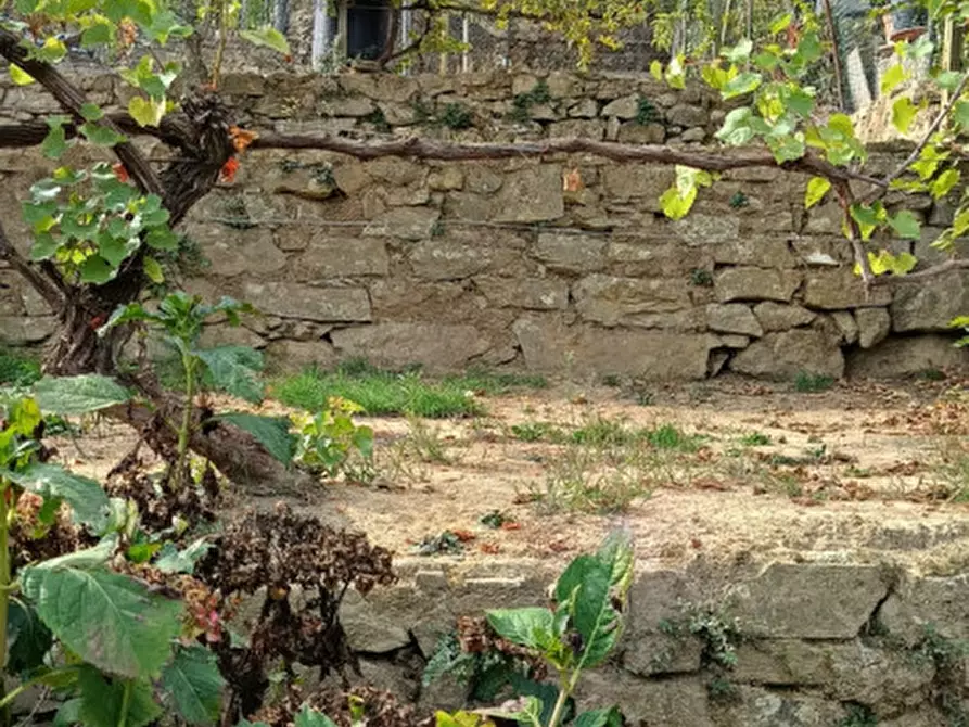 Immagine 30 di Casa indipendente in vendita  in Strada provinciali sud a Ceriana