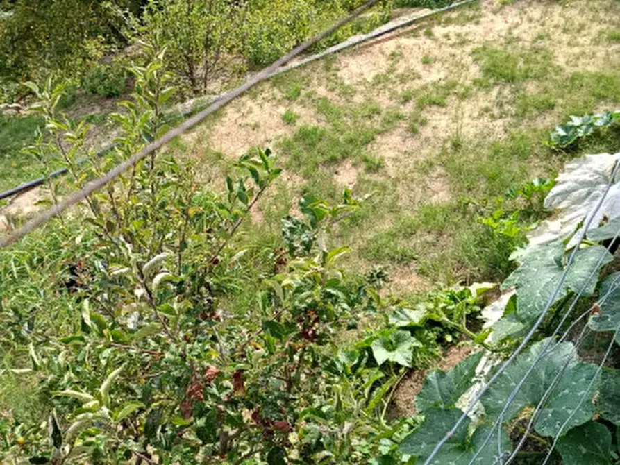 Immagine 34 di Casa indipendente in vendita  in Strada provinciali sud a Ceriana