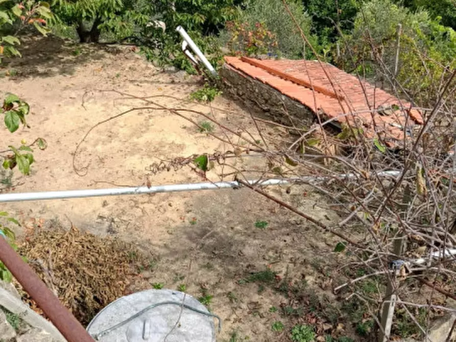 Immagine 35 di Casa indipendente in vendita  in Strada provinciali sud a Ceriana