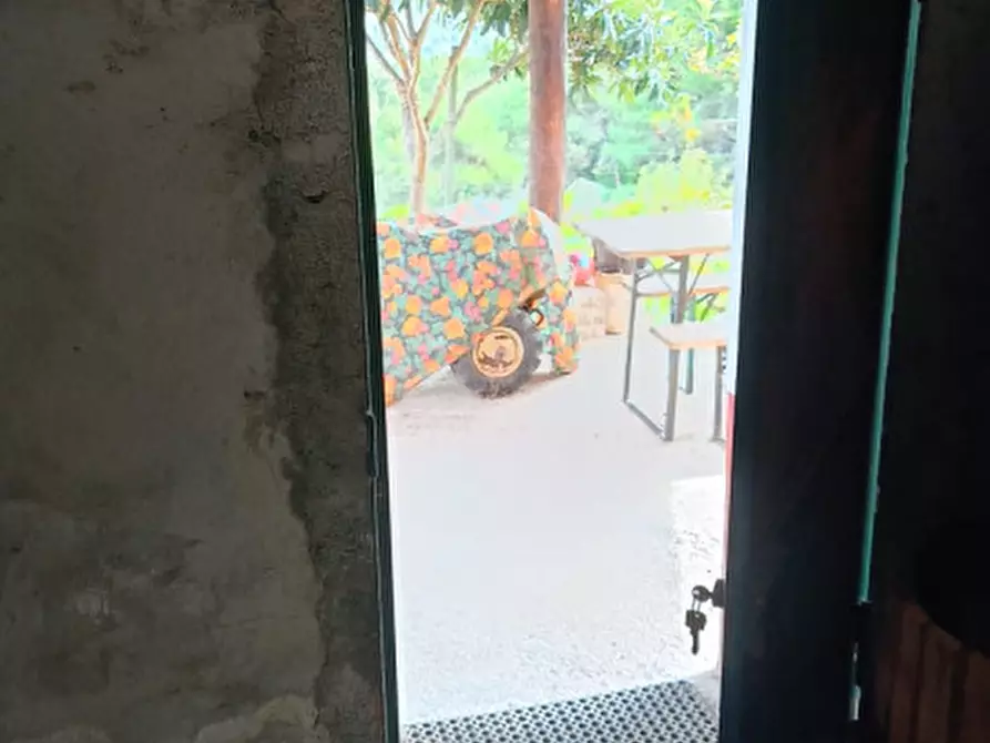 Immagine 41 di Casa indipendente in vendita  in Strada provinciali sud a Ceriana