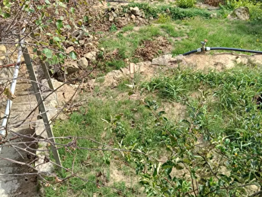 Immagine 43 di Casa indipendente in vendita  in Strada provinciali sud a Ceriana