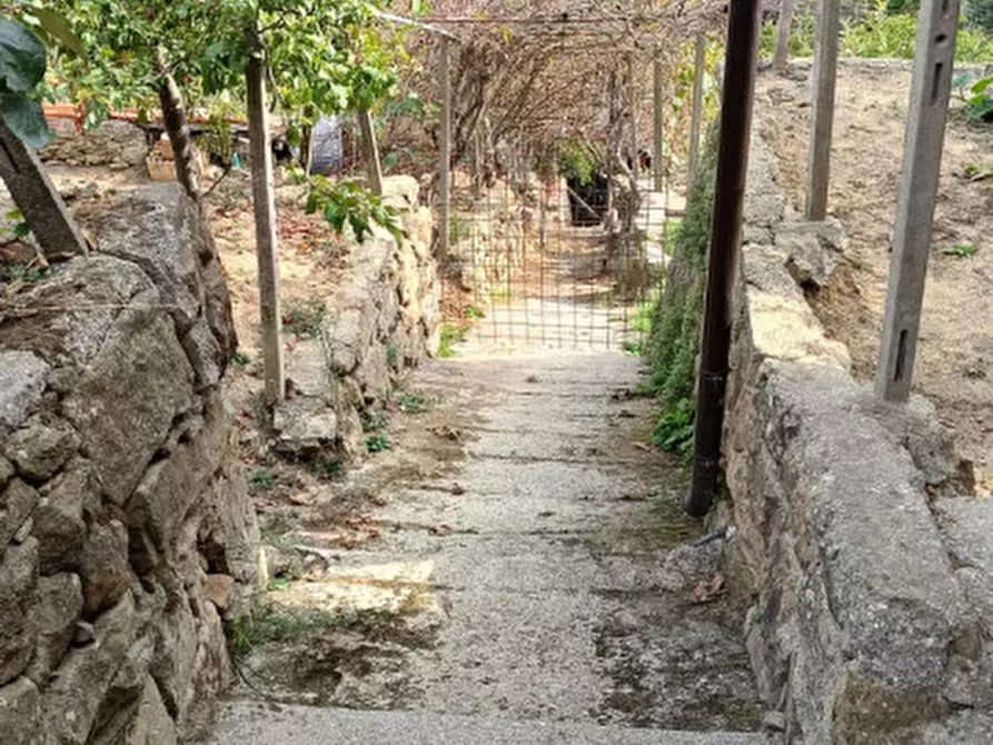 Immagine 44 di Casa indipendente in vendita  in Strada provinciali sud a Ceriana