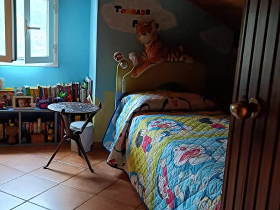 Immagine 47 di Casa indipendente in vendita  in Strada provinciali sud a Ceriana