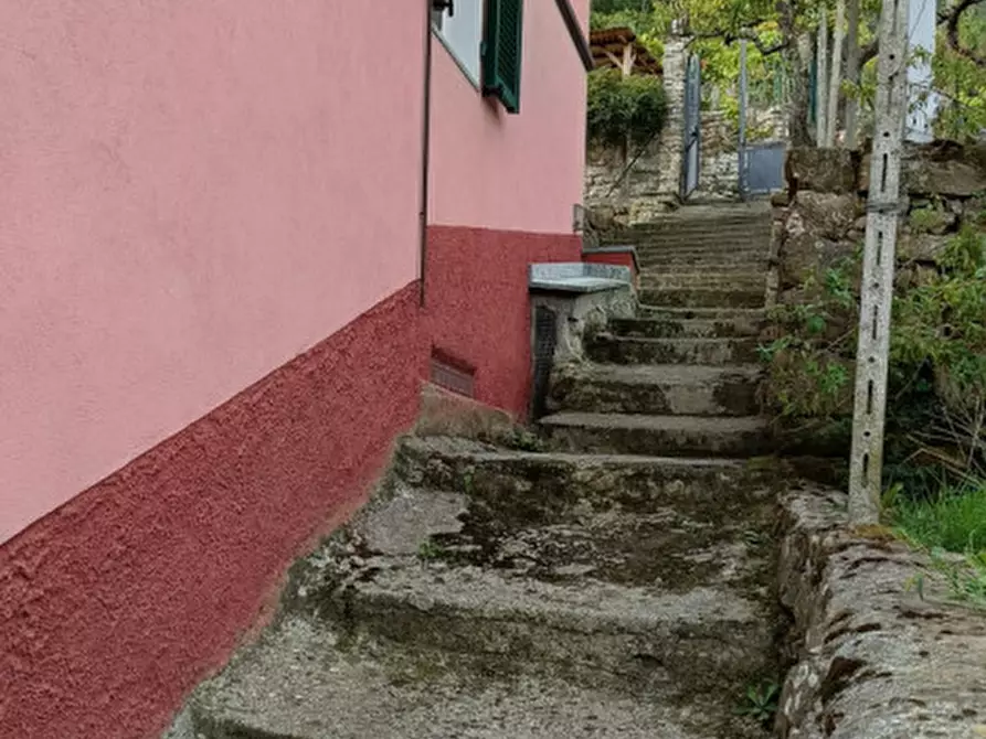 Immagine 49 di Casa indipendente in vendita  in Strada provinciali sud a Ceriana