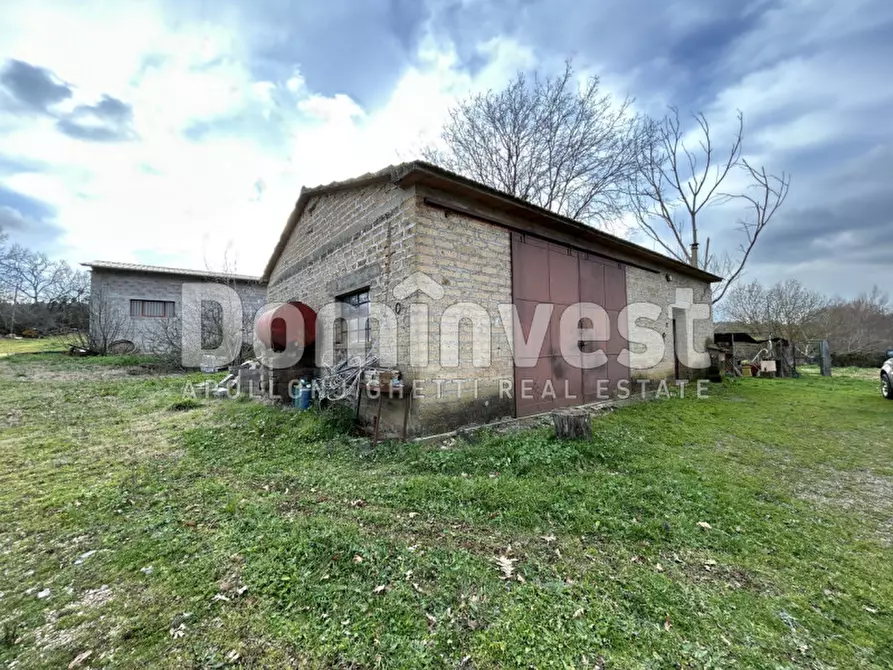 Immagine 4 di Rustico / casale in vendita  in Strada della Sgrilla a Capalbio