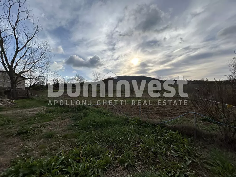 Immagine 6 di Rustico / casale in vendita  in Strada della Sgrilla a Capalbio