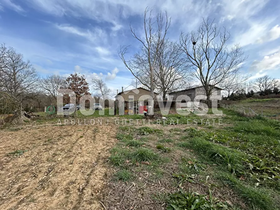 Immagine 7 di Rustico / casale in vendita  in Strada della Sgrilla a Capalbio