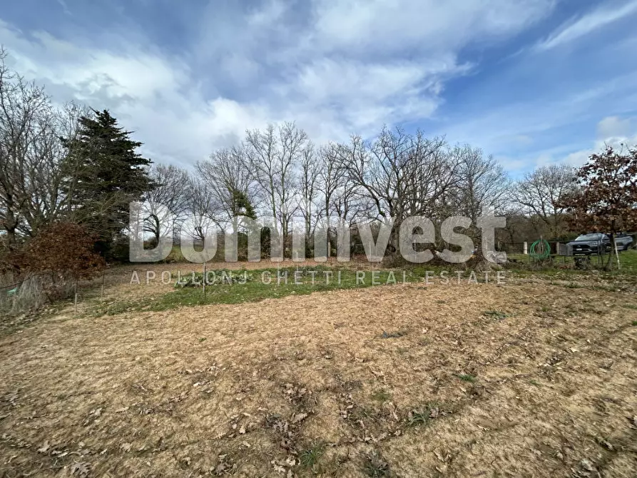 Immagine 8 di Rustico / casale in vendita  in Strada della Sgrilla a Capalbio