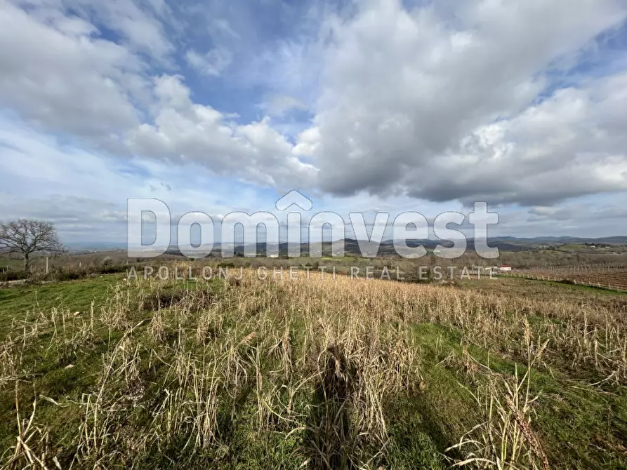 Immagine 11 di Rustico / casale in vendita  in Strada della Sgrilla a Capalbio