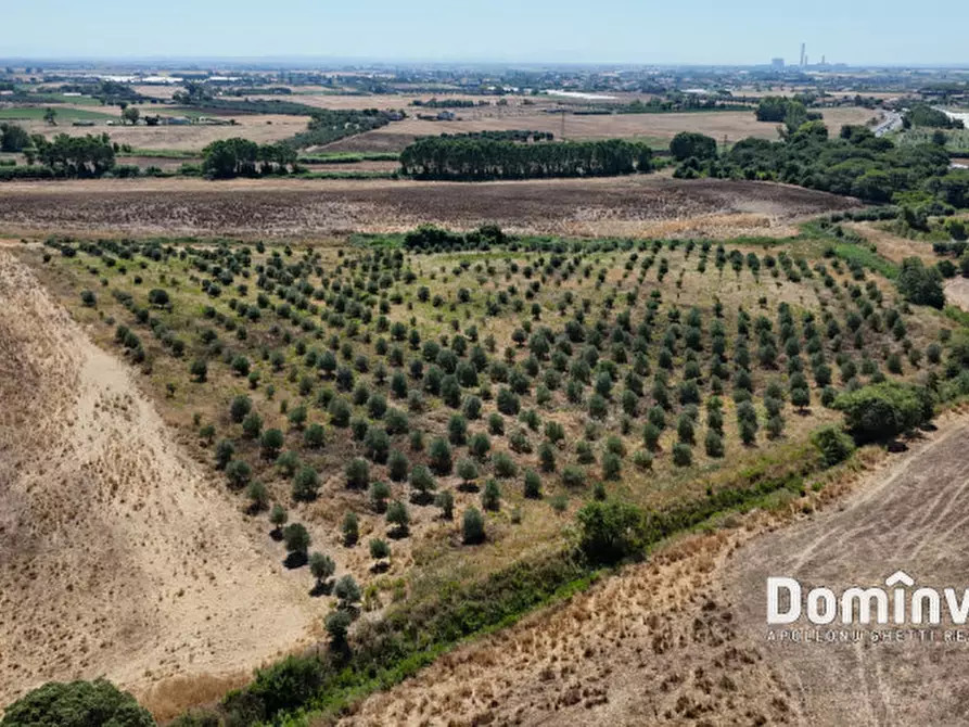 Immagine 7 di Villa in vendita  in Strada Provinciale Pescia Fiorentina a Capalbio