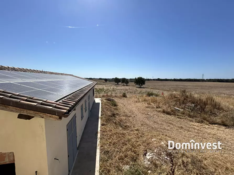 Immagine 11 di Villa in vendita  in Strada Provinciale Pescia Fiorentina a Capalbio