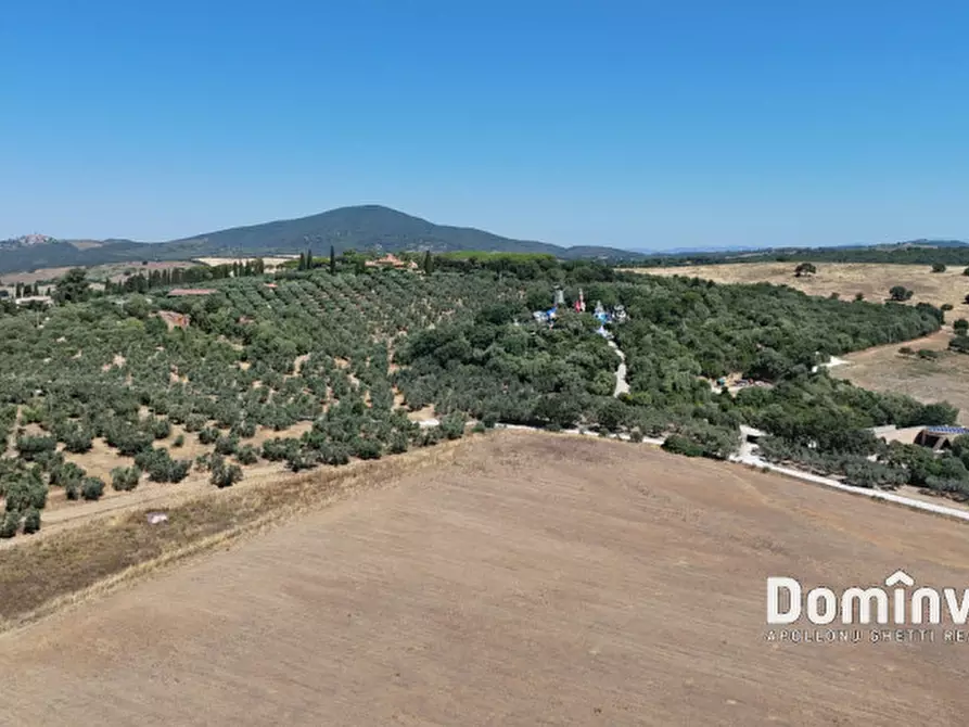 Immagine 12 di Villa in vendita  in Strada Provinciale Pescia Fiorentina a Capalbio