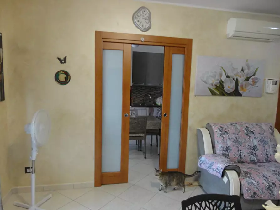 Immagine 6 di Appartamento in vendita  in Via Peucetia a Modugno