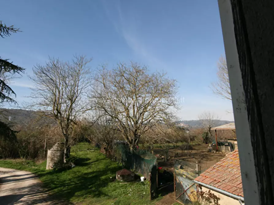 Immagine 4 di Rustico / casale in vendita  a Sinalunga