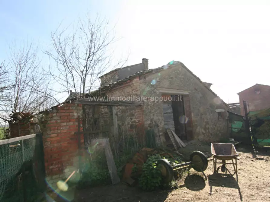 Immagine 13 di Rustico / casale in vendita  a Sinalunga
