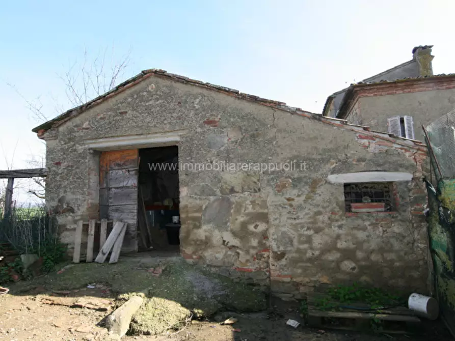 Immagine 14 di Rustico / casale in vendita  a Sinalunga