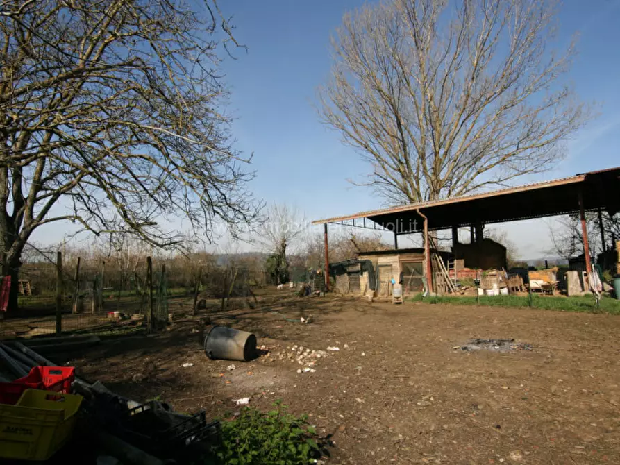 Immagine 15 di Rustico / casale in vendita  a Sinalunga