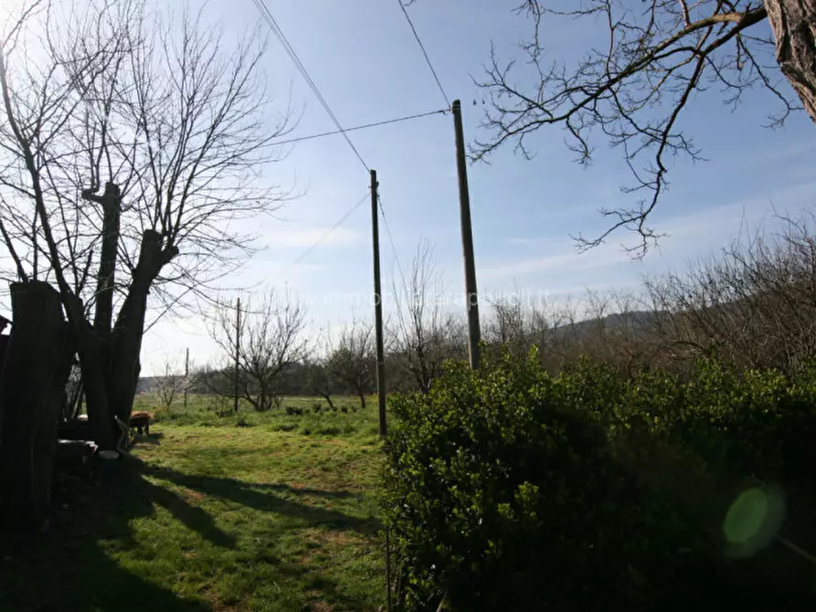 Immagine 16 di Rustico / casale in vendita  a Sinalunga