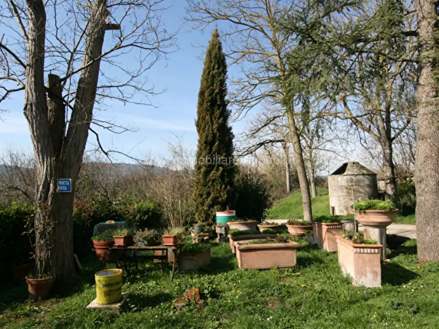 Immagine 17 di Rustico / casale in vendita  a Sinalunga