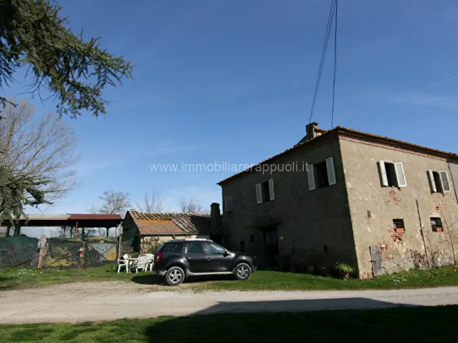 Immagine 19 di Rustico / casale in vendita  a Sinalunga