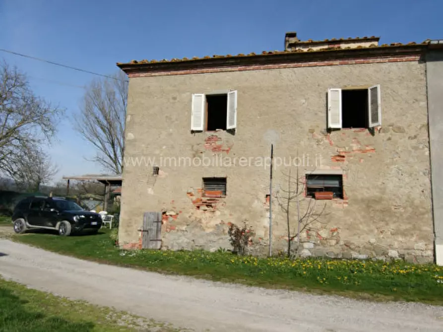 Immagine 22 di Rustico / casale in vendita  a Sinalunga