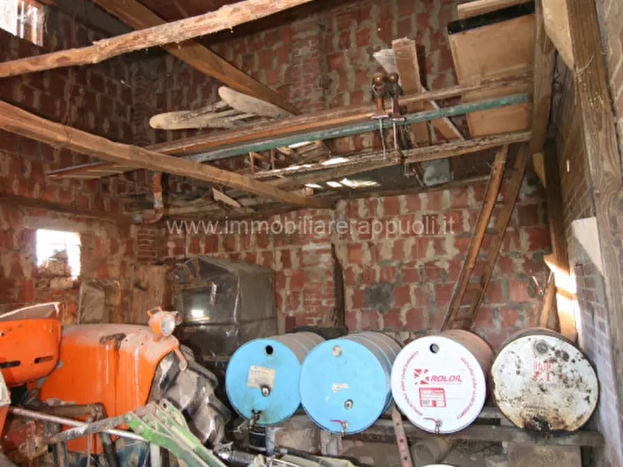 Immagine 23 di Rustico / casale in vendita  a Sinalunga