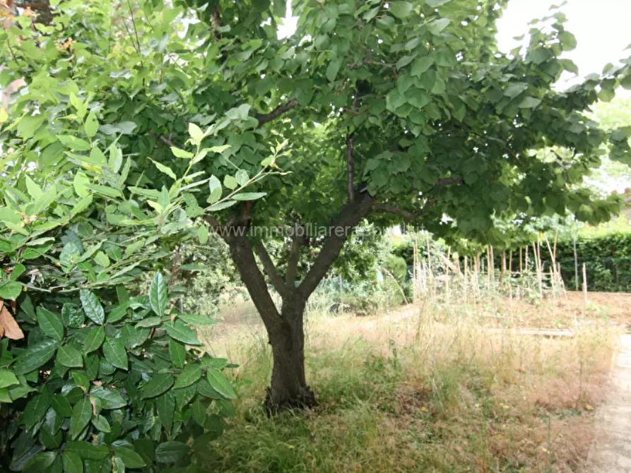 Immagine 21 di Appartamento in vendita  a Montepulciano