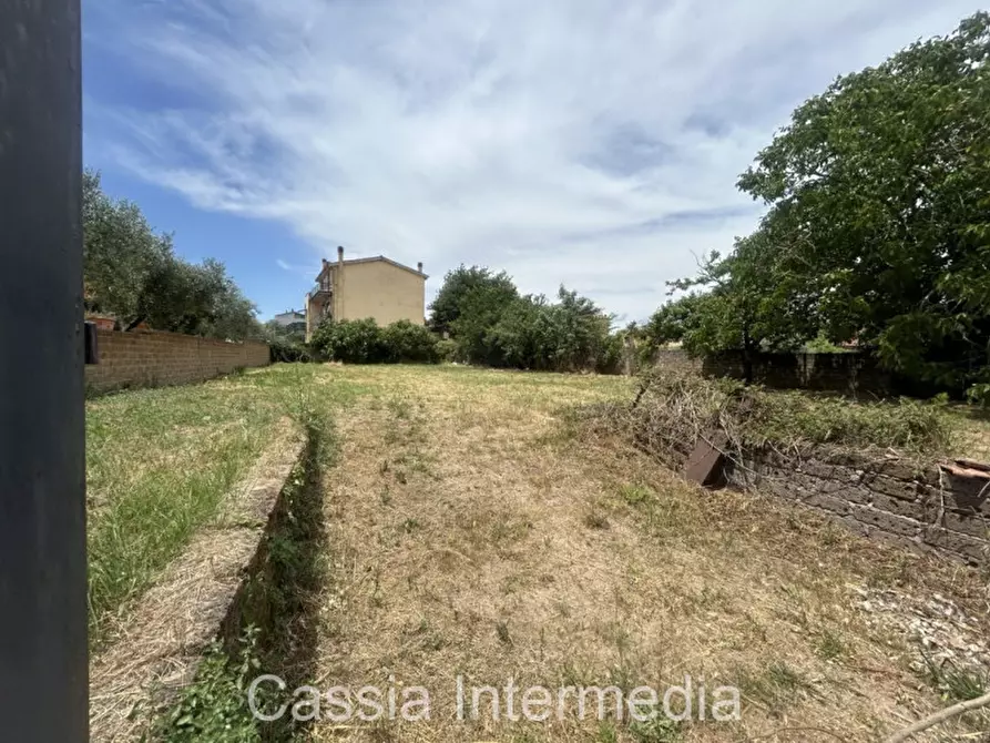 Immagine 2 di Terreno in vendita  in Via dei Vignali a Castel Sant'elia