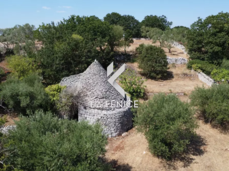 Immagine 2 di Rustico / casale in vendita  in c.da Montetessa a Locorotondo