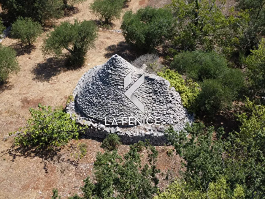 Immagine 3 di Rustico / casale in vendita  in c.da Montetessa a Locorotondo