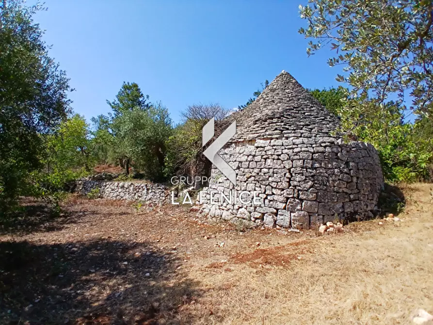 Immagine 6 di Rustico / casale in vendita  in c.da Montetessa a Locorotondo
