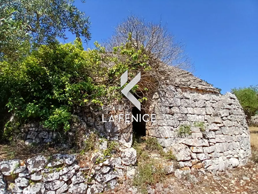 Immagine 10 di Rustico / casale in vendita  in c.da Montetessa a Locorotondo