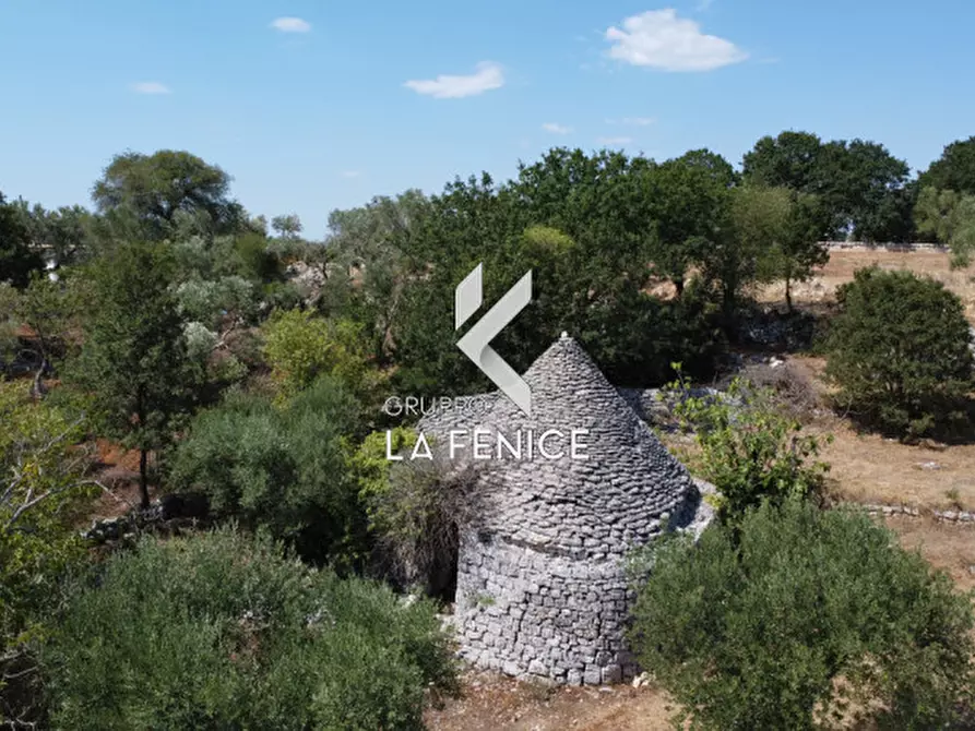 Immagine 19 di Rustico / casale in vendita  in c.da Montetessa a Locorotondo