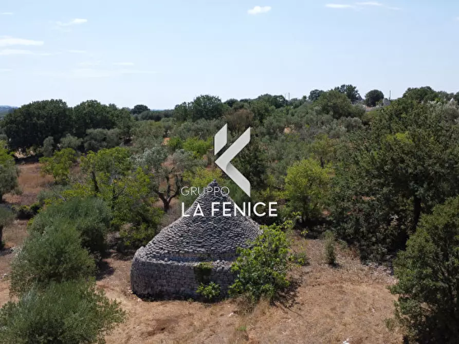 Immagine 20 di Rustico / casale in vendita  in c.da Montetessa a Locorotondo