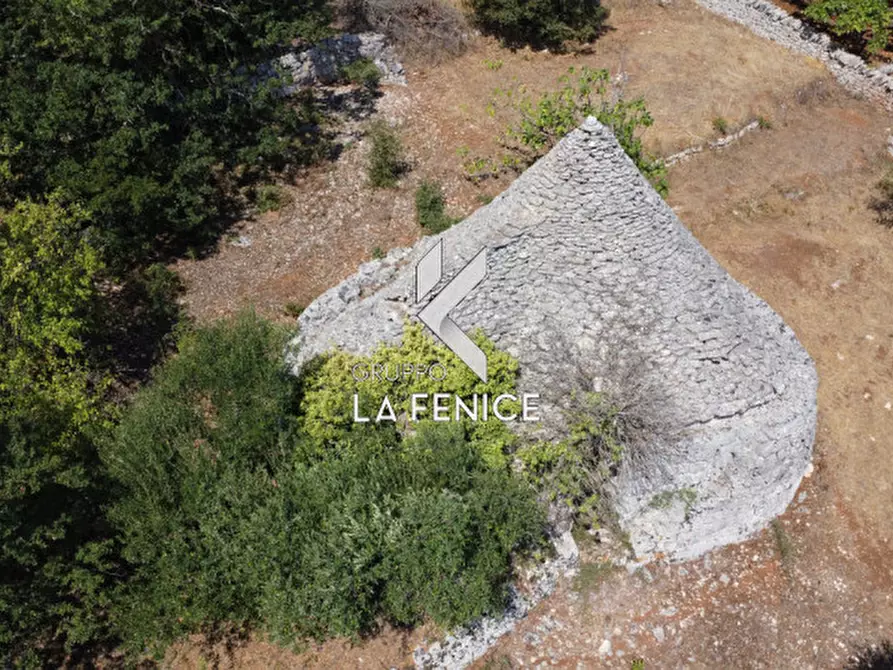 Immagine 21 di Rustico / casale in vendita  in c.da Montetessa a Locorotondo