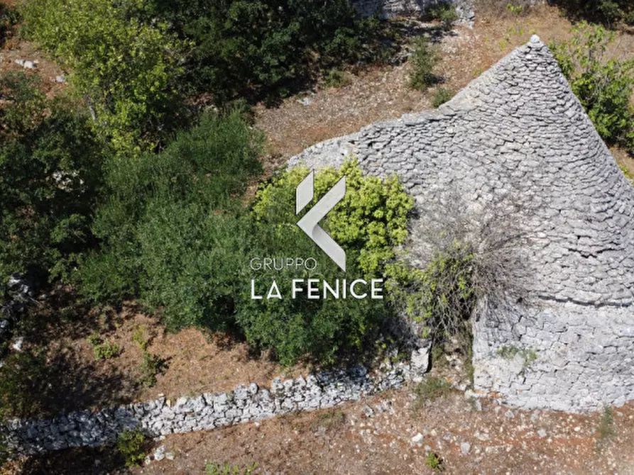 Immagine 22 di Rustico / casale in vendita  in c.da Montetessa a Locorotondo