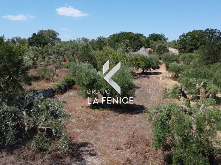 Immagine 25 di Rustico / casale in vendita  in c.da Montetessa a Locorotondo