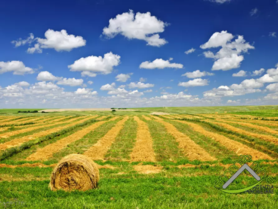 Immagine 2 di Terreno in vendita  in via fontana a Mira