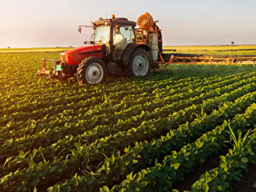 Immagine 3 di Terreno in vendita  in via fontana a Mira
