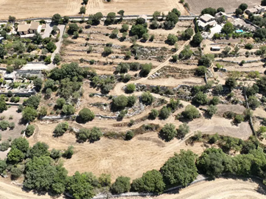 Immagine 2 di Casa indipendente in vendita  a Modica