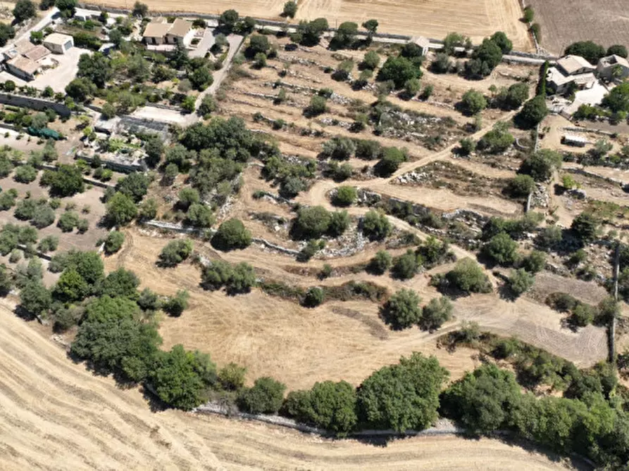 Immagine 3 di Casa indipendente in vendita  a Modica