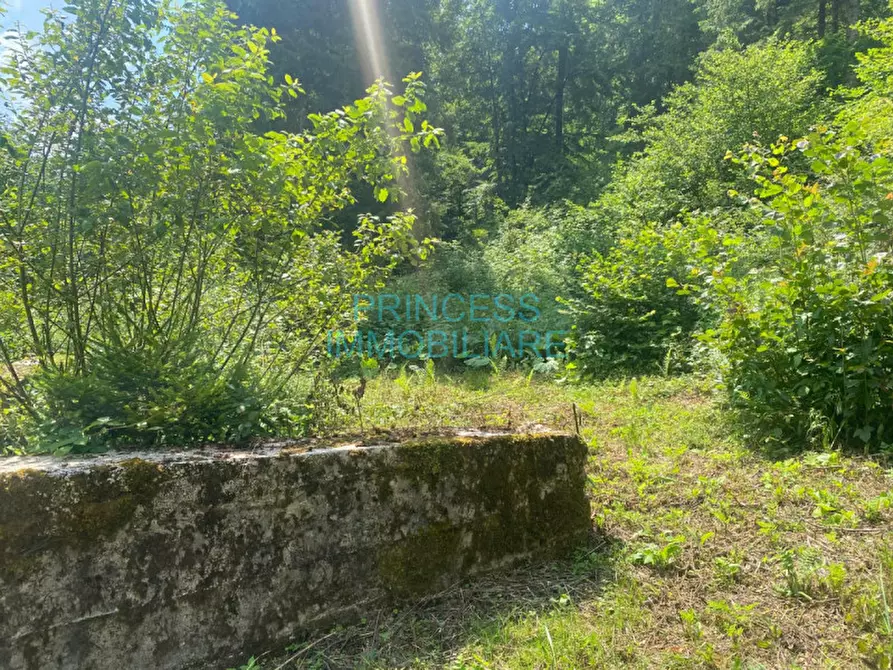 Immagine 2 di Rustico / casale in vendita  in altopiano di asiago a Cogollo Del Cengio