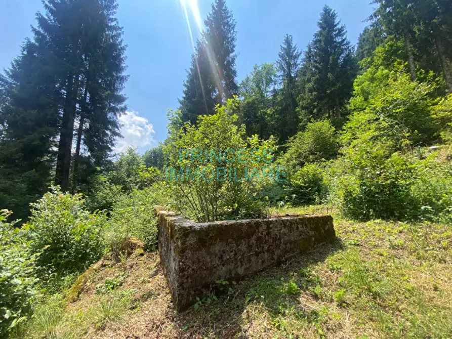 Immagine 3 di Rustico / casale in vendita  in altopiano di asiago a Cogollo Del Cengio