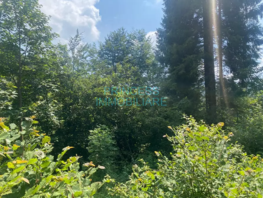 Immagine 4 di Rustico / casale in vendita  in altopiano di asiago a Cogollo Del Cengio