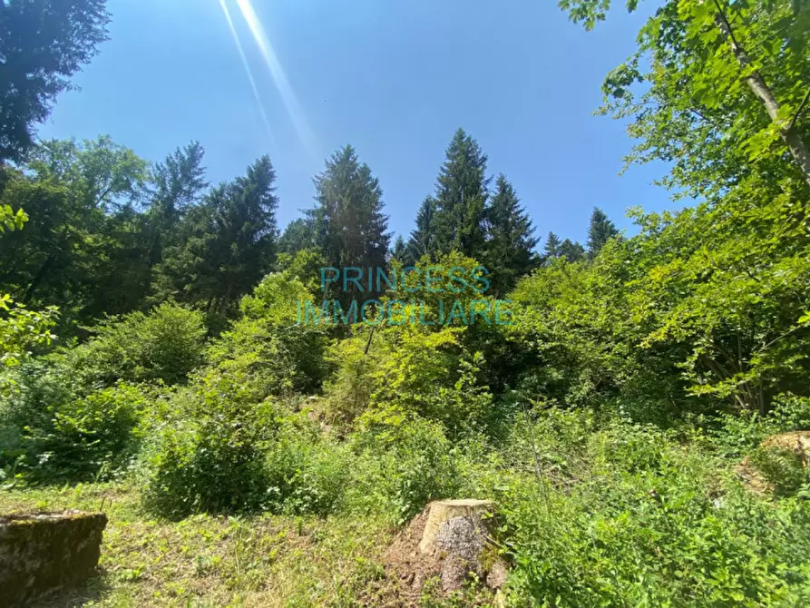 Immagine 5 di Rustico / casale in vendita  in altopiano di asiago a Cogollo Del Cengio