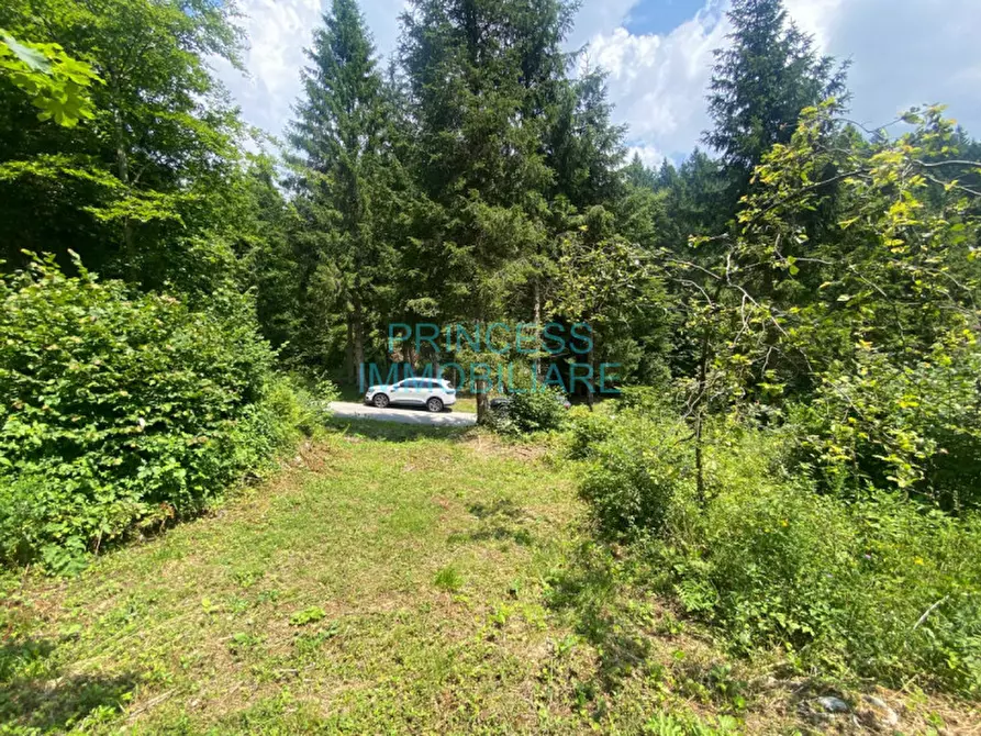 Immagine 7 di Rustico / casale in vendita  in altopiano di asiago a Cogollo Del Cengio